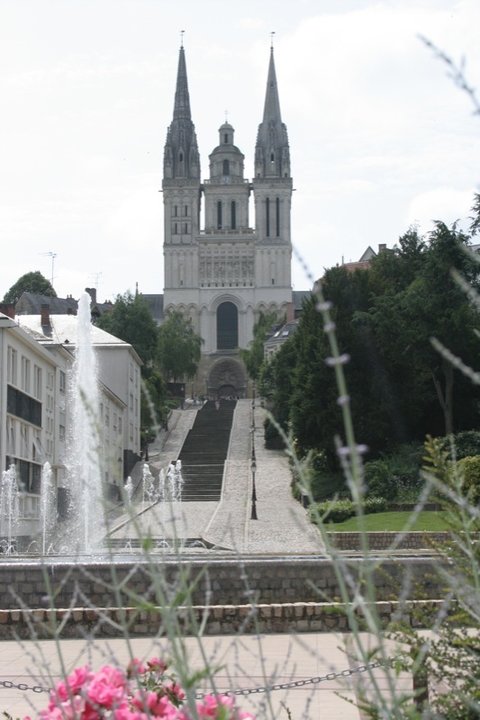 Universidad de Angers, Francia. 